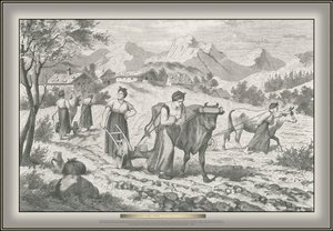Livre Avant la charrue tirée par des femmes de Gödsch en Basse-Carniole - G. Arnould